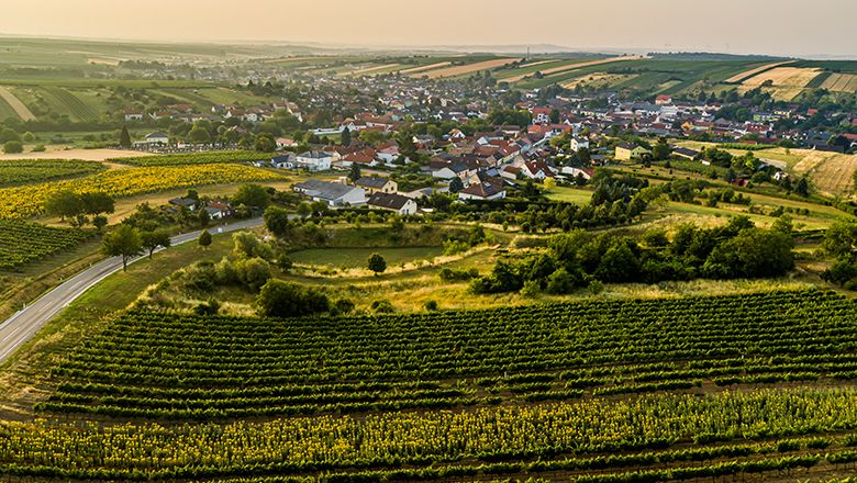 Luftaufnahme von Herrnbaumgarten mit Weinbergen im Vordergrund.