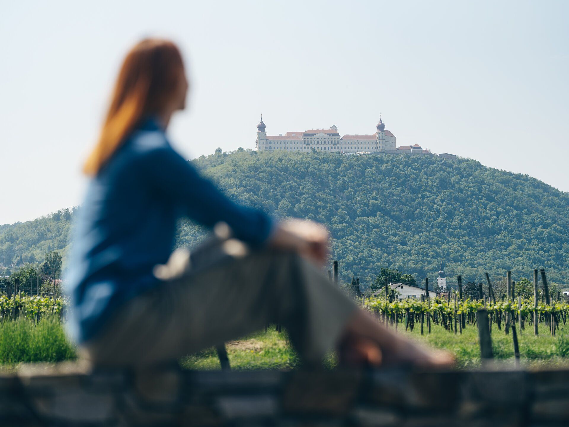 Inmitten der sanften Hügel und üppigen Weinreben entfaltet sich eine malerische Landschaft, die zum Verweilen einlädt. Der Blick auf das majestätische Kloster Göttweig, das hoch oben thront, verleiht der Szenerie eine besondere Magie. Hier, wo die Natur und Kultur harmonisch verschmelzen, erleben Besucher unvergessliche Momente.