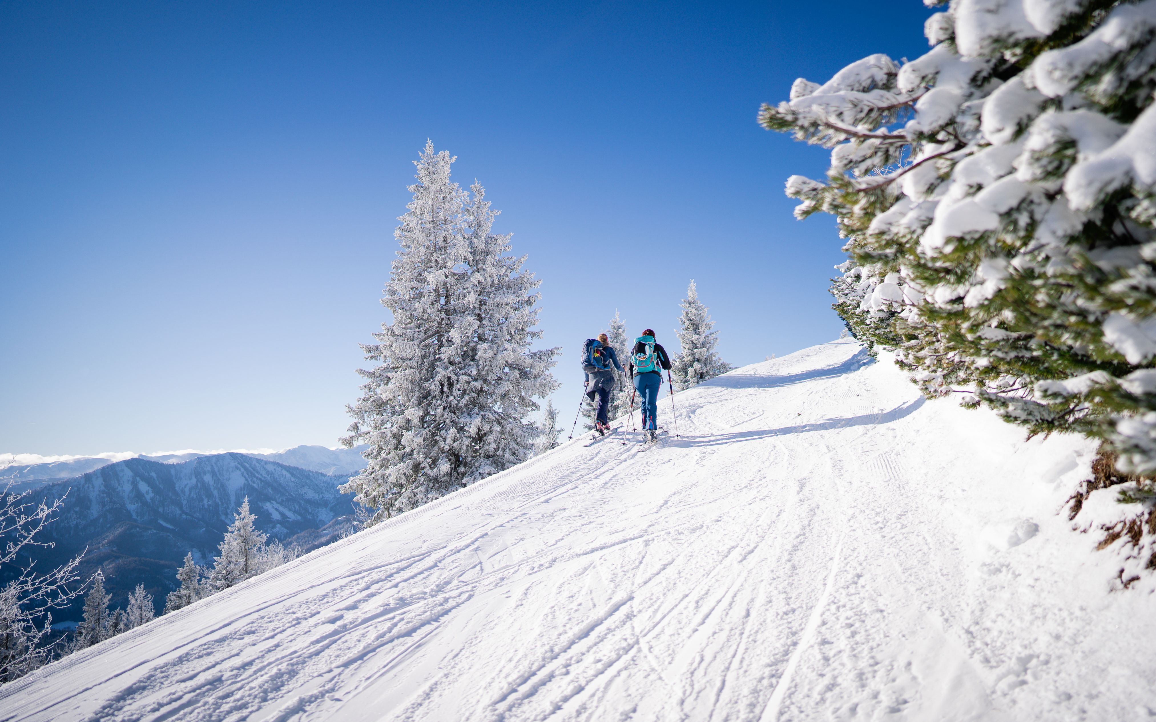 Snowboarder springt über ein gelbes Hindernis im Snowpark Gemeindealpe bei Sonnenschein.
