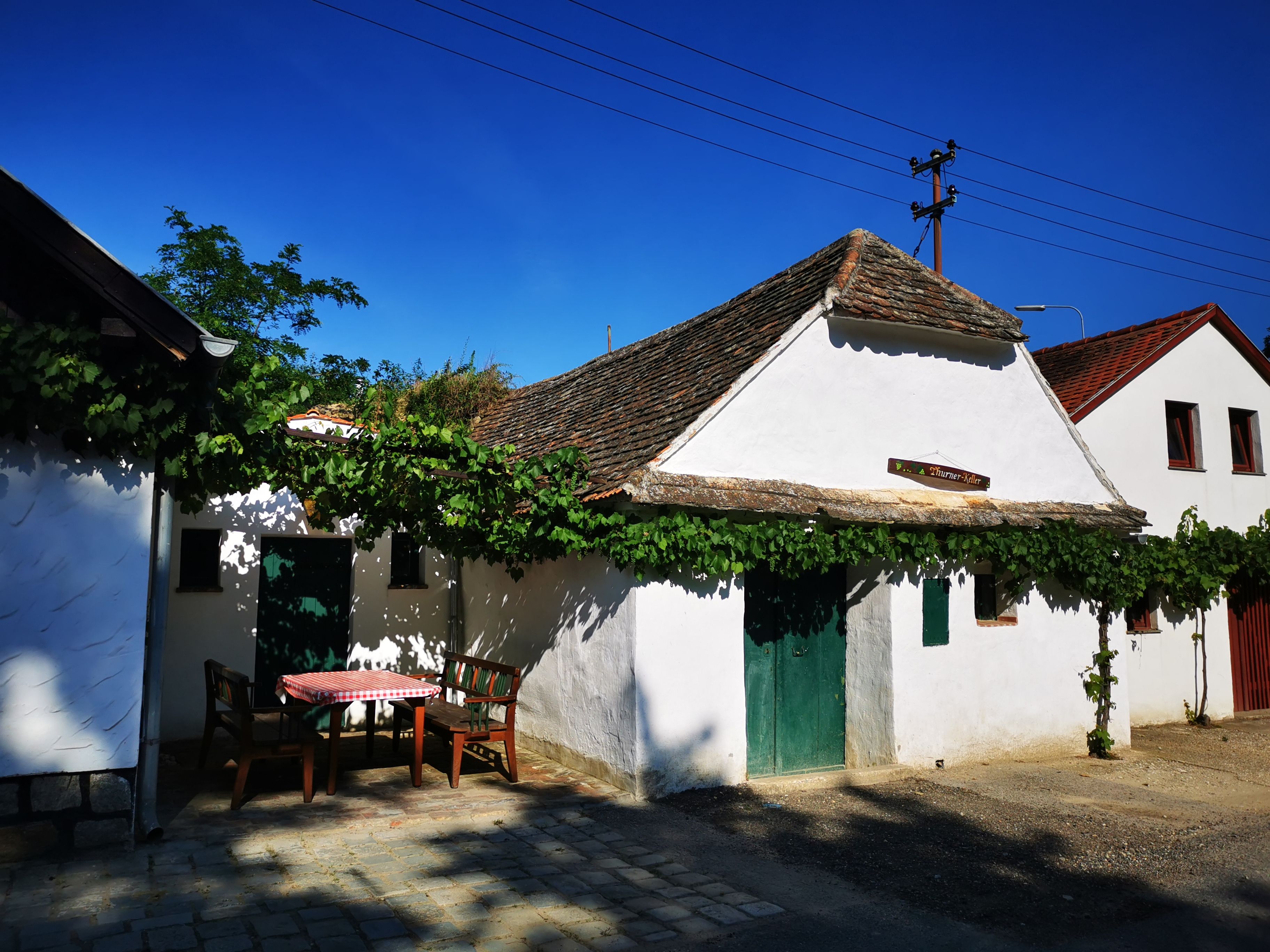 Weißes Gebäude in einer Kellergasse mit Weinreben und Tisch im Freien.