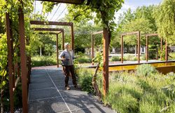 Inmitten einer blühenden Oase aus bunten Blumen und üppigem Grün entfaltet sich ein harmonischer Garten, der zum Verweilen einlädt. Die sanften Wege, gesäumt von Weinreben und duftenden Kräutern, schaffen eine Atmosphäre der Ruhe und Entspannung. Hier erleben Besucher die Schönheit des Frühlings in voller Pracht.