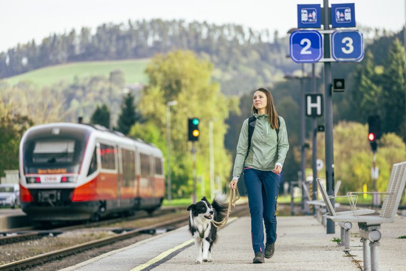 Frau mit Hund auf Bahnsteig, Zug im Hintergrund.