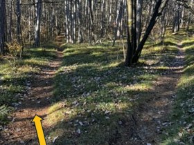 Abzweigung vor dem Hirschboden, &copy; Marktgemeinde Soo&szlig;