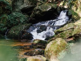 Ein sanft plätschernder Bach schlängelt sich durch die grüne Landschaft, umgeben von hohen Bäumen und moosbedeckten Steinen. Die frische, klare Luft und das beruhigende Geräusch des Wassers laden zu einer erholsamen Wanderung ein, während die Sonnenstrahlen durch das Blätterdach tanzen.