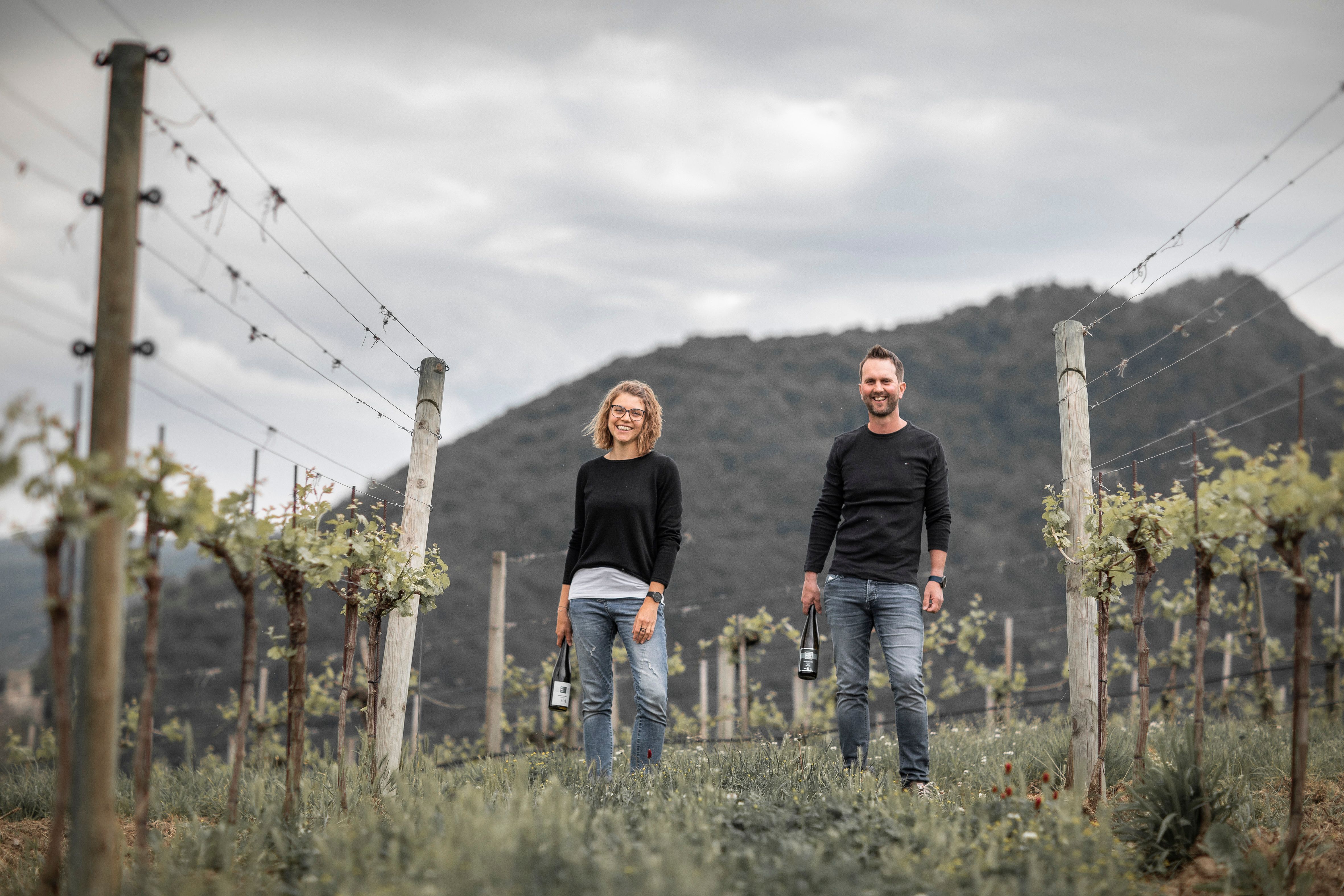 Weingut Hofstätter