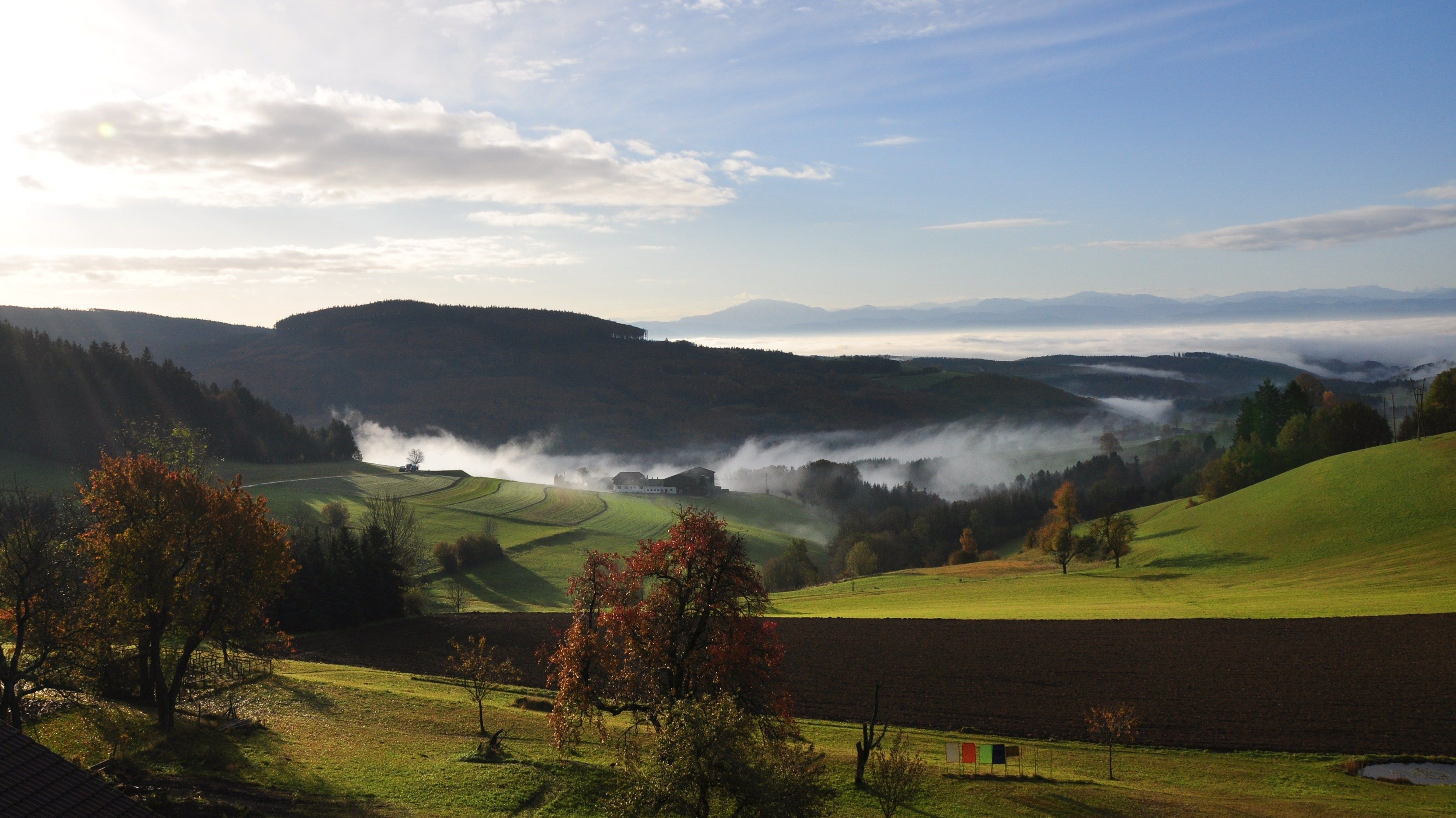 Landschaft im südlichen Waldviertel mit Hügeln, Bäumen und Nebel.