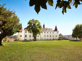 Umgeben von einer weitl&auml;ufigen Wiese und majest&auml;tischen B&auml;umen strahlt das Schloss Dobersberg eine ruhige Eleganz aus. Die sanften H&uuml;gel im Hintergrund laden zu Erkundungen ein und versprechen unvergessliche Ausblicke auf die malerische Landschaft.