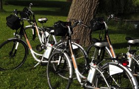 Mehrere E-Bikes stehen auf einer Wiese vor einem Baum.