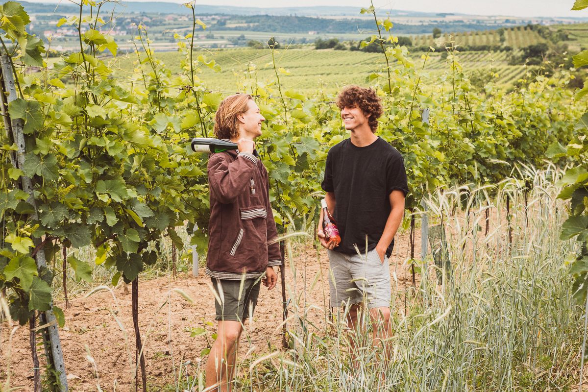 Zwei Männer stehen in einem Weinberg und unterhalten sich lachend, einer hält eine Weinflasche.