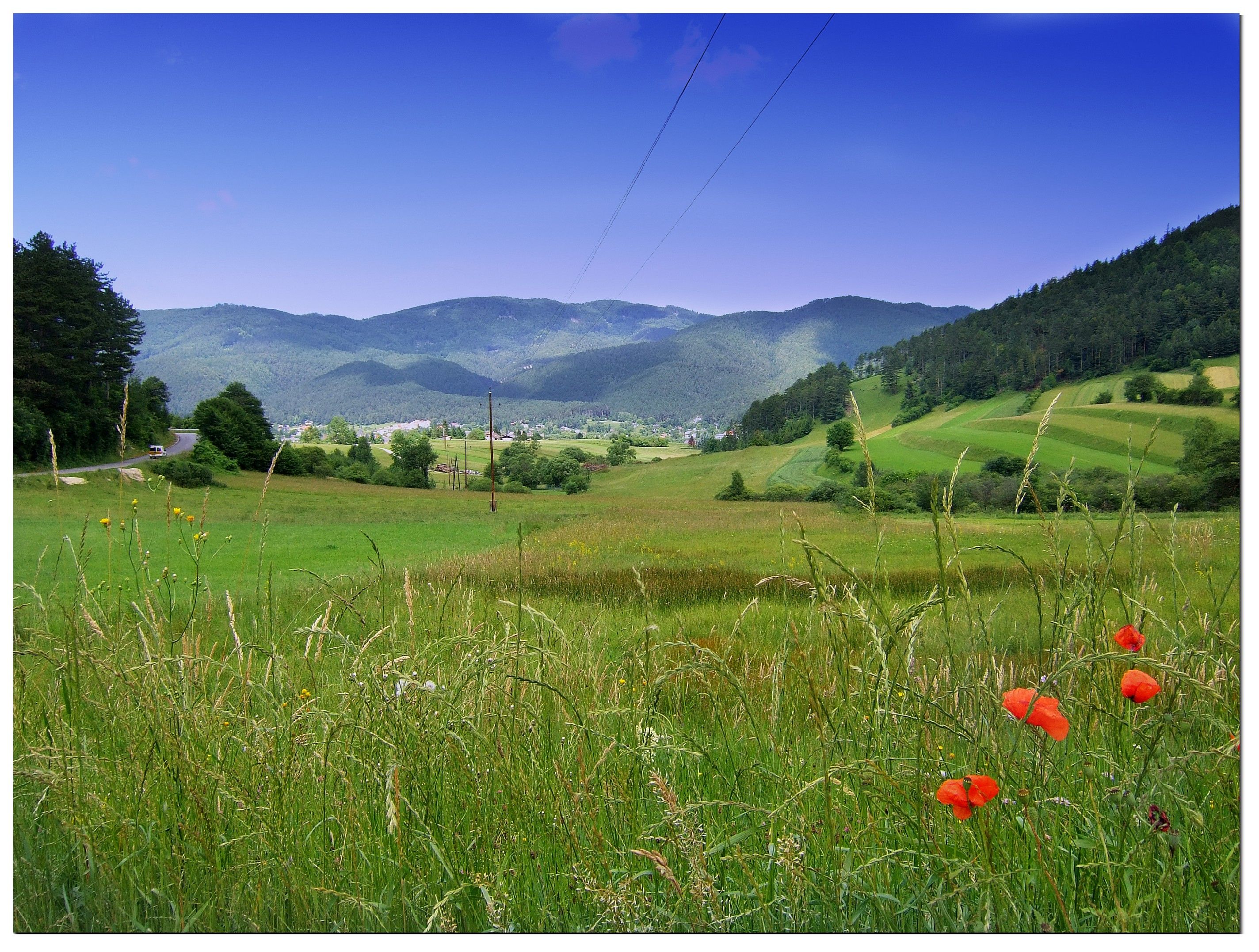Grüne Wiesen mit roten Mohnblumen und Hügeln im Hintergrund unter blauem Himmel.