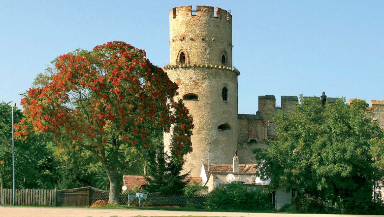 Ein runder Burgturm aus Stein neben einem Baum mit roten Bl&auml;ttern, umgeben von gr&uuml;ner Vegetation und blauem Himmel.