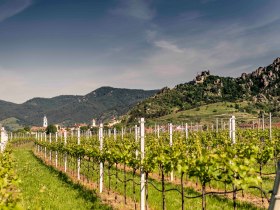 D&uuml;rnstein im Fr&uuml;hling, &copy; Robert Herbst