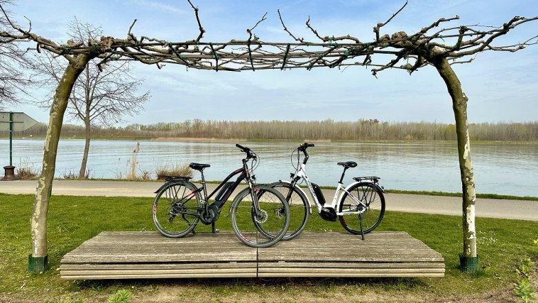 Zwei E-Bikes stehen auf einer Holzplattform am Flussufer, umgeben von B&auml;umen und einem klaren Himmel.