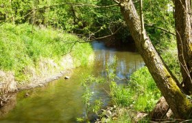 Waldviertler Seminarhaus Gauguschm&uuml;hle, &copy; Waldviertler Seminarhaus Gauguschm&uuml;hle