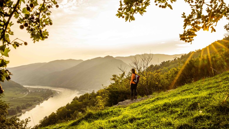 Michaelerberg mit Donau, &copy; Robert Herbst