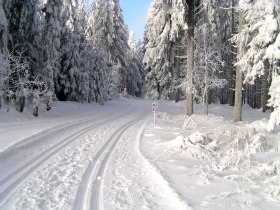 Langlaufen in Ottenschlag © Gemeinde Ottenschlag, © Waldviertel Tourismus