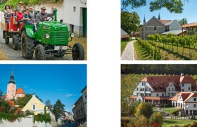 Poysdorf erleben, &copy; VinoVersum Poysdorf / Loizenbauer und Mewald