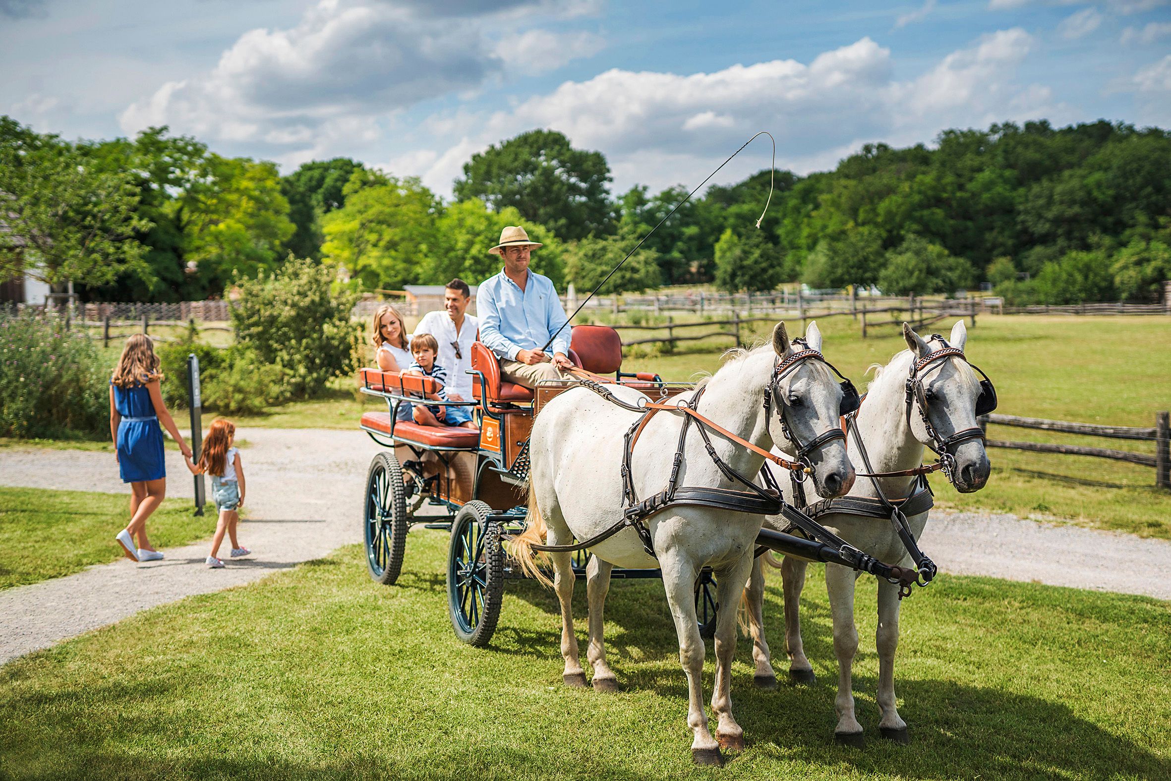Eine Kutsche mit zwei weißen Pferden zieht eine Familie über eine Wiese bei Schloss Hof.