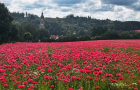 Stift Zwettl, &copy; Dr. Markus Peham
