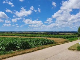 Kellergassen Rundweg, &copy; Hohenruppersdorfer IMPUSE f&uuml;r Dorfaktivit&auml;ten