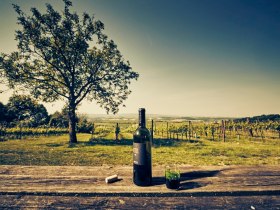 Hörstation Die drei Rieden, VIA.CARNUNTUM., © Donau Niederösterreich, Andreas Hofer