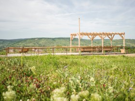 Rastplatz bei Langenlois, &copy; POV, Robert Herbst