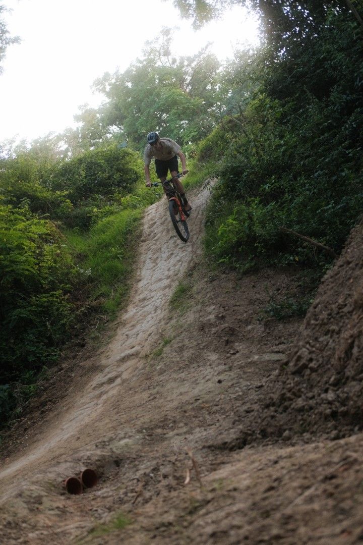 Ein Mountainbiker fährt einen steilen, erdigen Abhang hinunter, umgeben von dichtem Grün.
