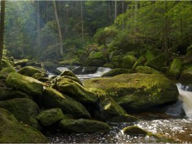 B&auml;rentrail, &copy; &copy; B&Auml;RENWALD, Matthias Schickhofer