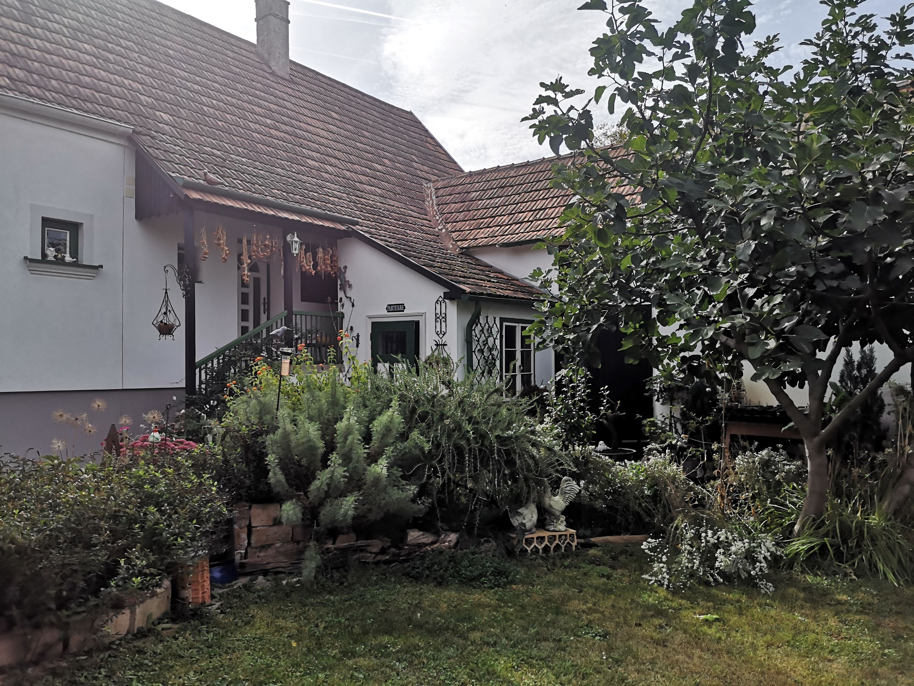 Ein gemütliches Haus mit Garten, umgeben von Pflanzen und einem Baum.