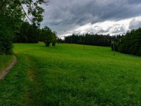 Leichter Anstieg Richtung Bergern, &copy; Gottfried Grossinger