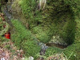 Augenbr&uuml;ndl, &copy; Marktgemeinde Langschlag