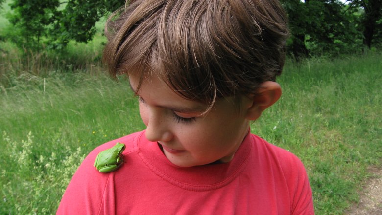 Ein Junge in einem roten T-Shirt schaut auf einen gr&uuml;nen Frosch auf seiner Schulter. Im Hintergrund ist eine gr&uuml;ne Wiese zu sehen.