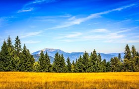 Blick von der Kamsteiner Schwaig zum Schneeberg bis zur Hohen Wand, &copy; Wiener Alpen, Christian Kremsl