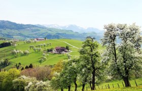 Blick von Ertl auf die Voralpen, © Mostviertel