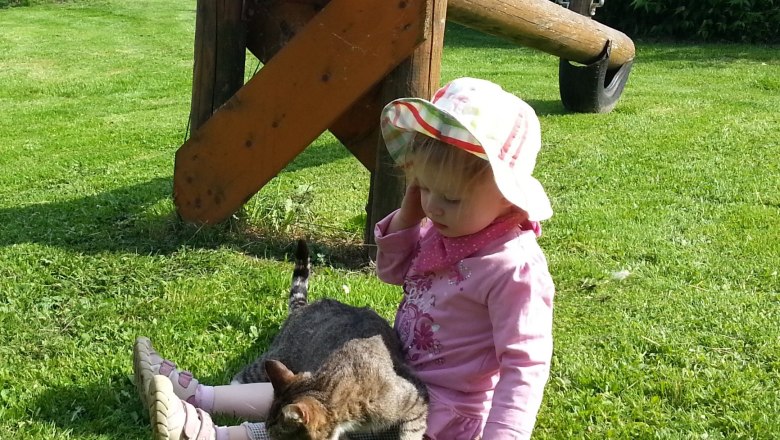 Schmusekatze, &copy; Lothspieler