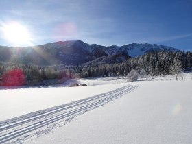 Panoramaloipe Puchberg, &copy; Wiener Alpen in Nieder&ouml;sterreich - Schneeberg Hohe Wand