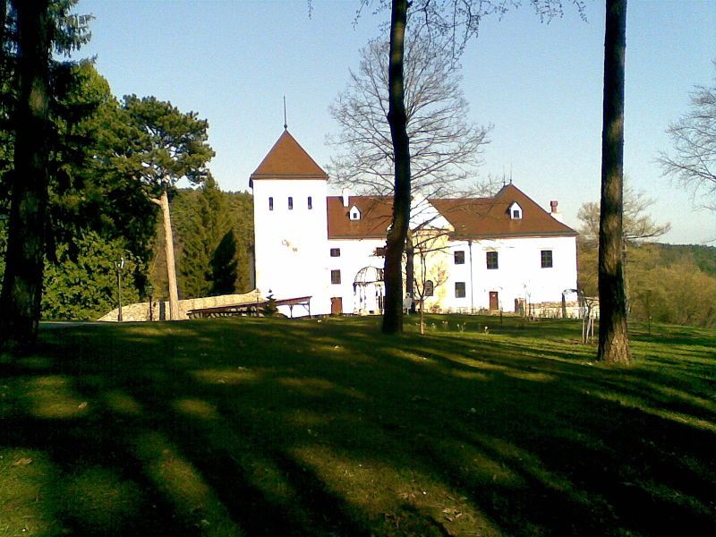 Schloss Vöstenhof in einer grünen Landschaft mit Bäumen im Vordergrund.