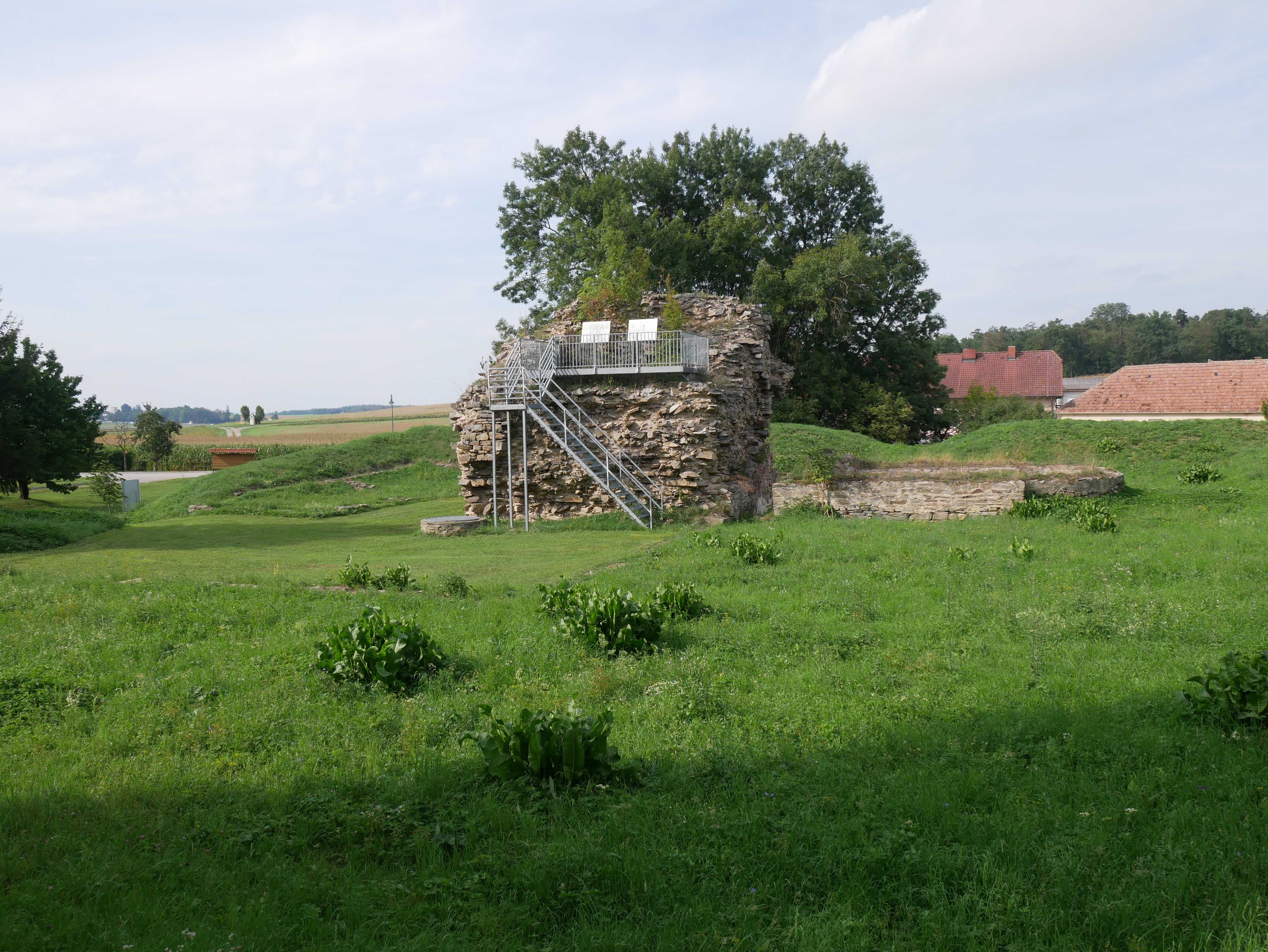 Ruine der Burg Sachsendorf mit grüner Wiese und Bäumen im Hintergrund.