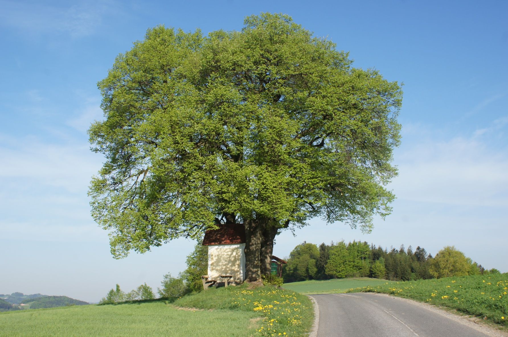 Brandstätter Kreuz