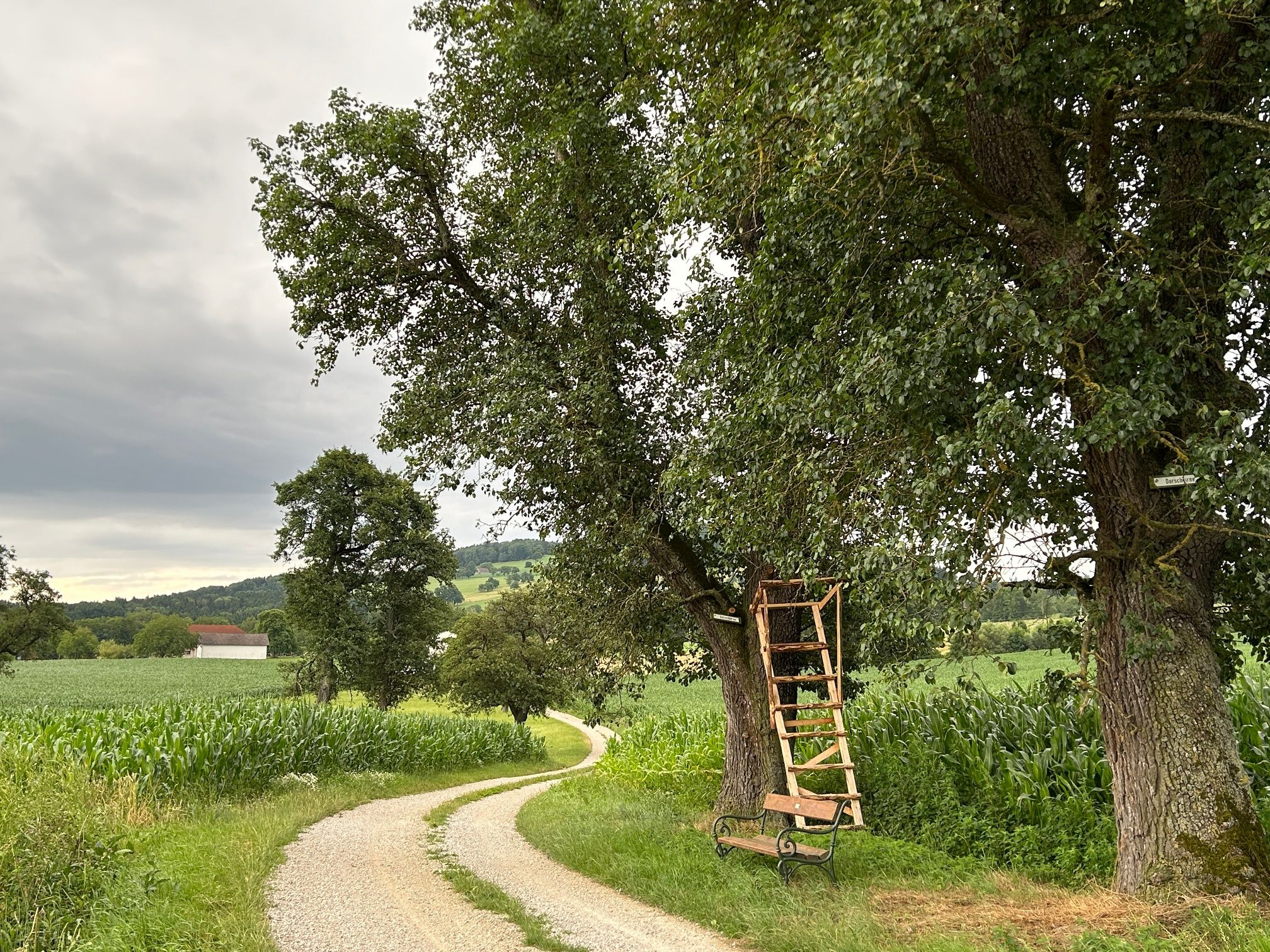 Am Fröschlauweg