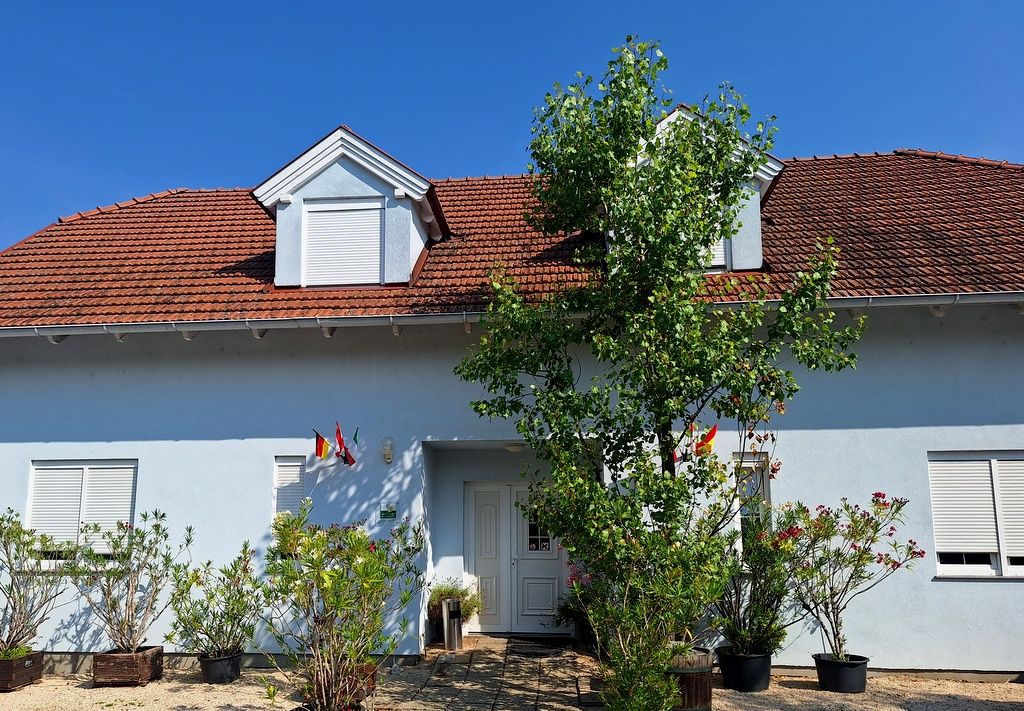Ein hellblaues Haus mit rotem Dach und Pflanzen im Vordergrund.