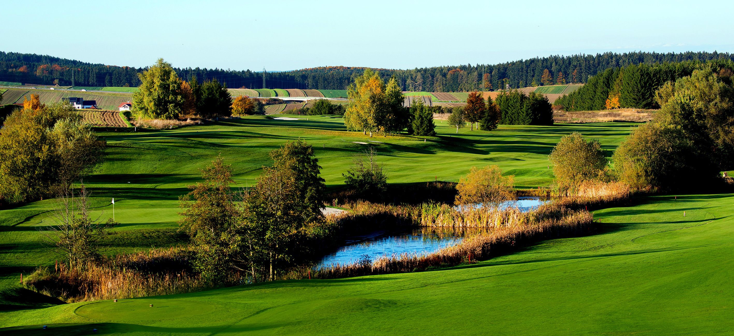Grüne Golfplatzlandschaft mit Teich und Bäumen im Herbst.
