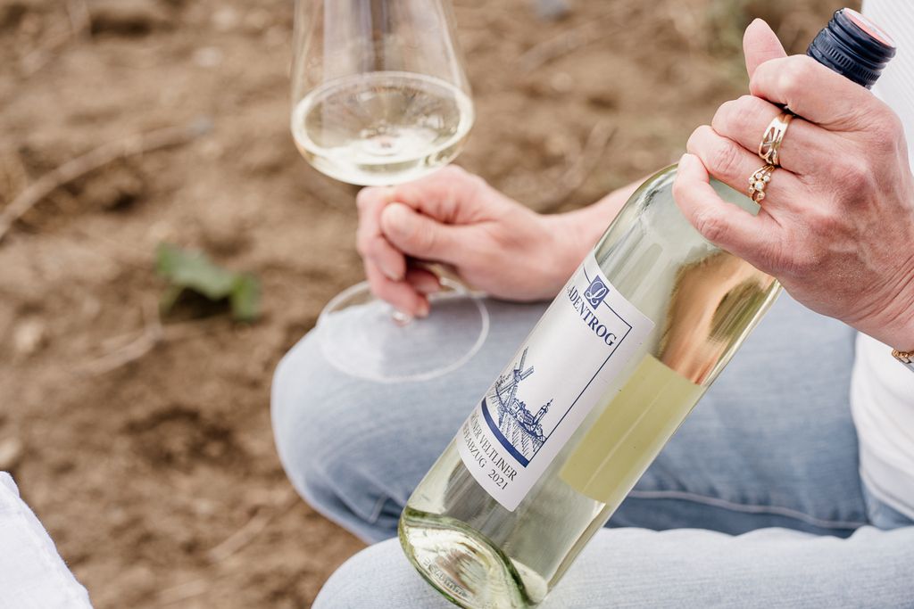 Person hält eine Weinflasche und ein Glas Weißwein in der Hand.