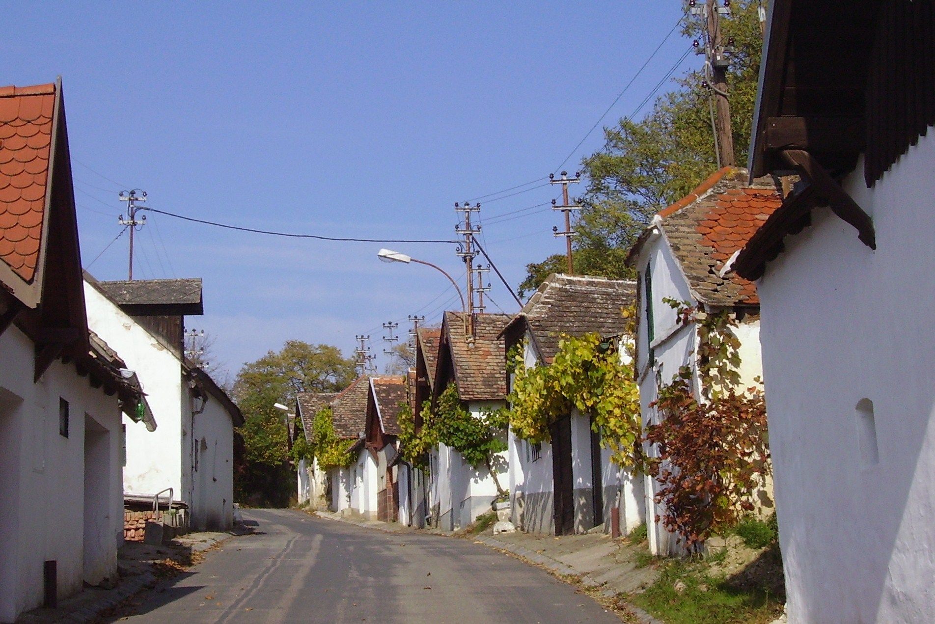 Eine schmale Straße mit traditionellen, weißen Häusern und Weinreben an den Fassaden.