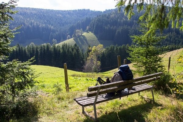 Alpl - Roseggers Waldheimat