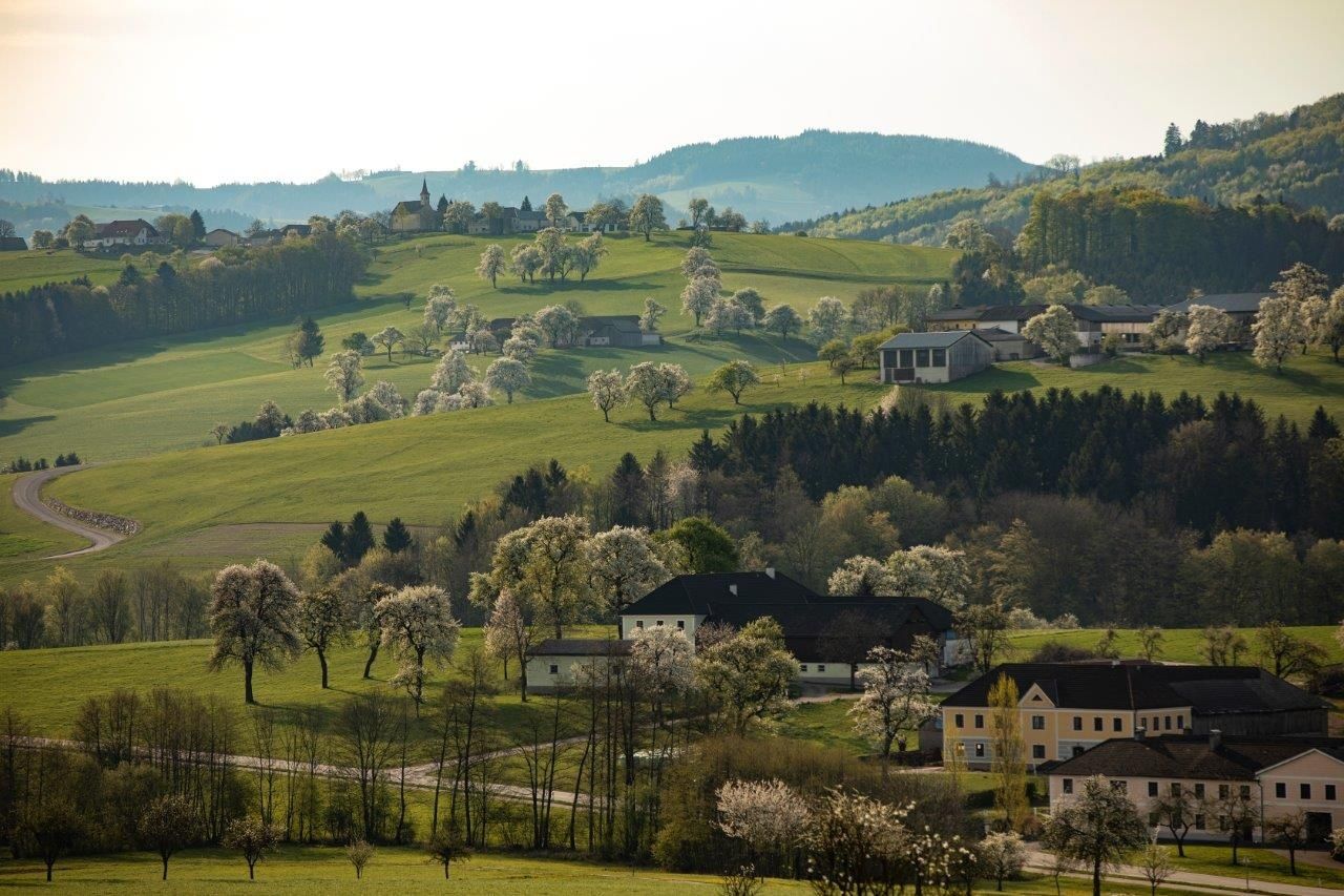 Fotopunkt Zeilinger