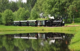 Eine historische Dampflokomotive zieht grüne Waggons durch eine grüne Landschaft, die sich in einem ruhigen Teich spiegelt.