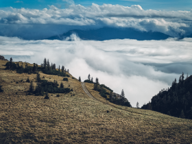 Die sanften H&uuml;gel der Rax erheben sich majest&auml;tisch &uuml;ber die Wolken, w&auml;hrend die Sonne sanft auf die gr&uuml;ne Wiese scheint. Hier, inmitten der unber&uuml;hrten Natur, entfaltet sich eine atemberaubende Kulisse, die Wanderer und Naturliebhaber gleicherma&szlig;en verzaubert.