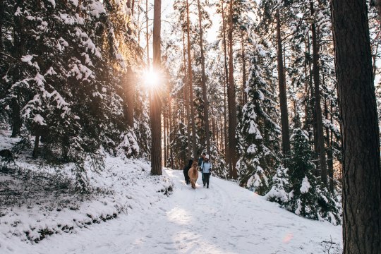 Leinen los! Beim Winterwandern mit flauschigen Partnern. , © Waldviertel Tourismus/sommertage.com