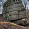 Ein gro&szlig;er, moosbedeckter Felsen im Wald, umgeben von kahlen B&auml;umen.